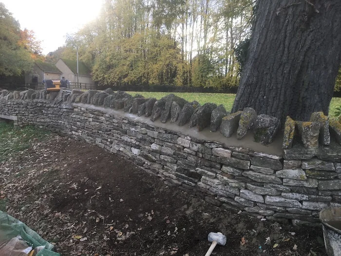 Recent Project